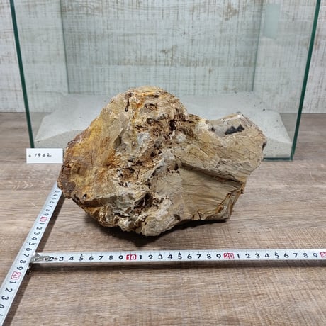 BIG木化石　NO.1962（W約23cm/H約16cm)(45cm水槽）