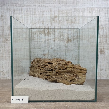 BIG気孔石　１点もの　No.1958（W約31cm)(30cm水槽）