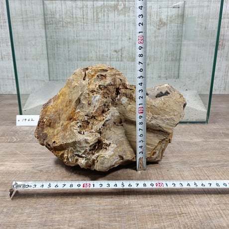 BIG木化石　NO.1962（W約23cm/H約16cm)(45cm水槽）