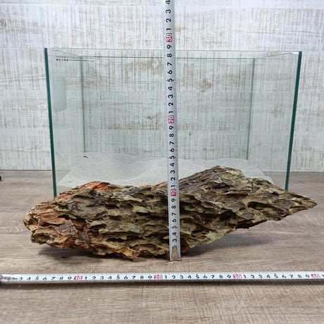 BIG気孔石　１点もの　No.1956（W約41cm)(45cm水槽）