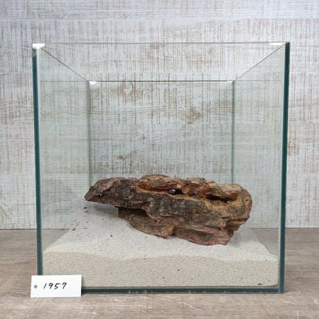 BIG気孔石　１点もの　No.1957（W約30cm)(30cm水槽）