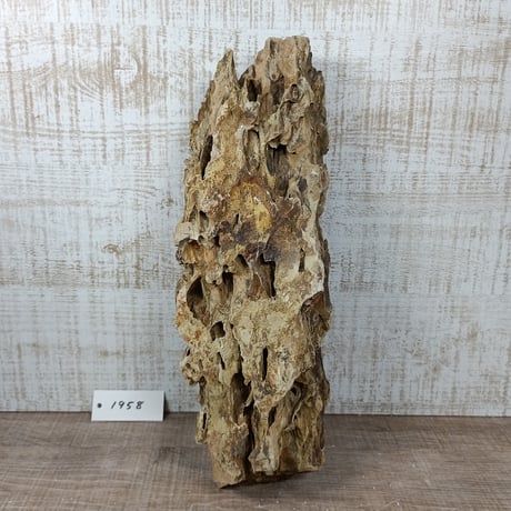 BIG気孔石　１点もの　No.1958（W約31cm)(30cm水槽）