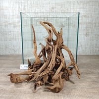 マングローブ系流木  ワイルドウッドスティックタイプ10本組　オンリーワン ★現物撮影  1点　No.2170(W約20～30㎝位）