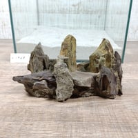 希少気孔石山  小サイズ（美型） 一点物の水槽オブジェ No. 19678 (30cm水槽)(W約18cm/H約9cm)