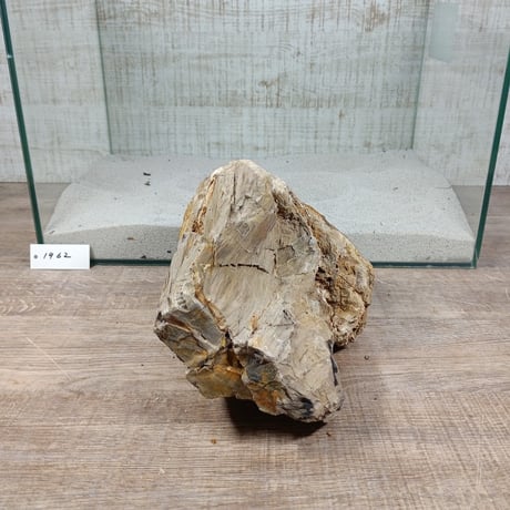 BIG木化石　NO.1962（W約23cm/H約16cm)(45cm水槽）