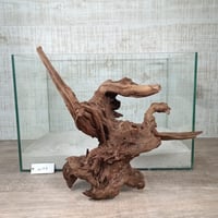 マングローブ系流木  2Lサイズ　オンリーワン ★現物撮影  1点　No.2177(W約40㎝）