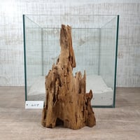 希少山型流木   Mサイズ　オンリーワン ★現物撮影  1点　No.2115(W約26㎝）