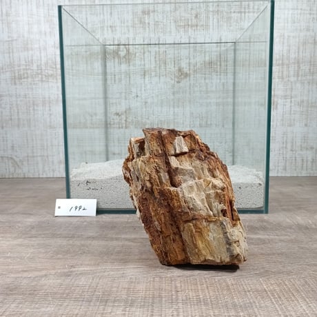 BIG木化石　NO.1992（W約13cm/H約14cm)(30cm水槽）