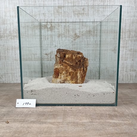BIG木化石　NO.1992（W約13cm/H約14cm)(30cm水槽）