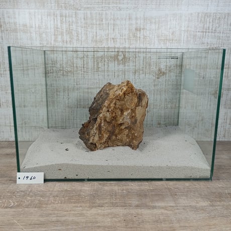 BIG木化石　NO.1960（W約22cm/H約15cm)(45cm水槽）
