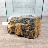BIG木化石　NO.1970（W約16cm/H約9cm)(30cm水槽）