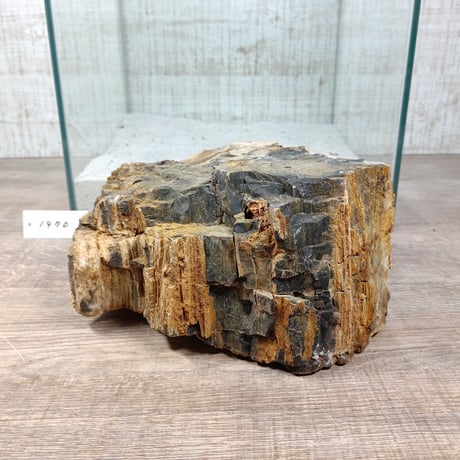 BIG木化石　NO.1970（W約16cm/H約9cm)(30cm水槽）