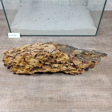 BIG気孔石　１点もの　No.1956（W約41cm)(45cm水槽）