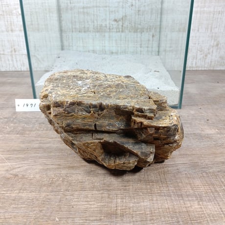 BIG木化石　NO.1971（W約22cm/H約11cm)(30cm水槽）