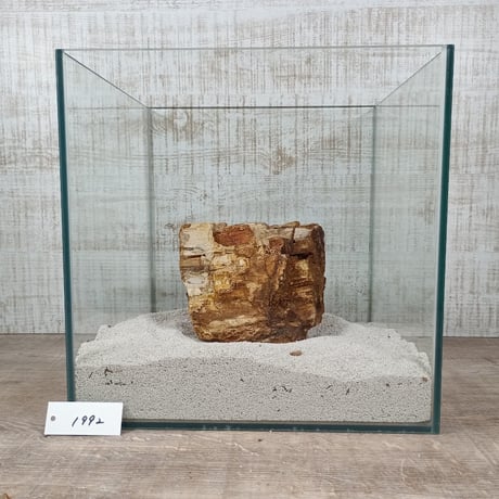BIG木化石　NO.1992（W約13cm/H約14cm)(30cm水槽）
