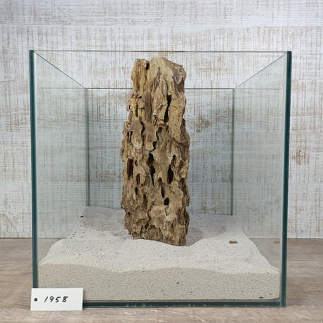 BIG気孔石　１点もの　No.1958（W約31cm)(30cm水槽）