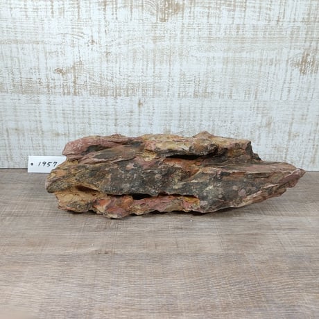 BIG気孔石　１点もの　No.1957（W約30cm)(30cm水槽）