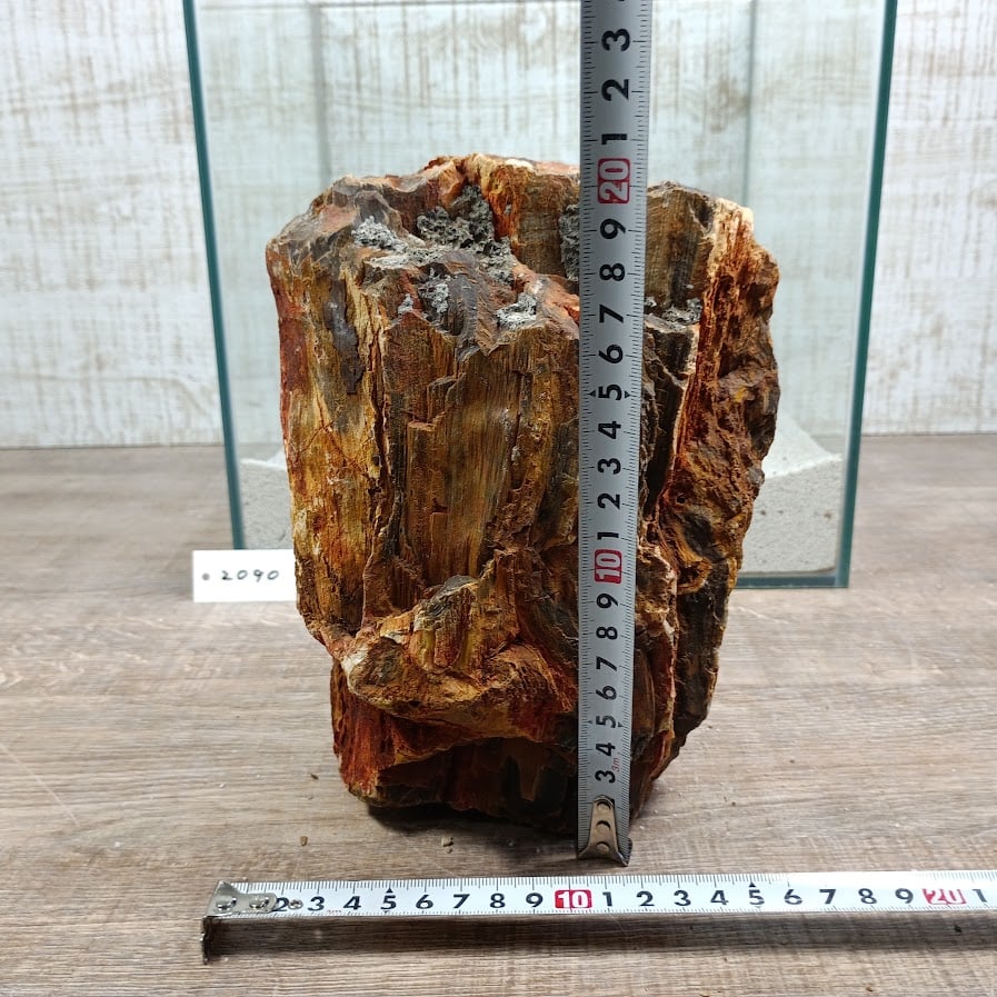 BIG木化石 NO.2090（W約16/約H19cm/約3.6kg)(30cm水槽） | 流木