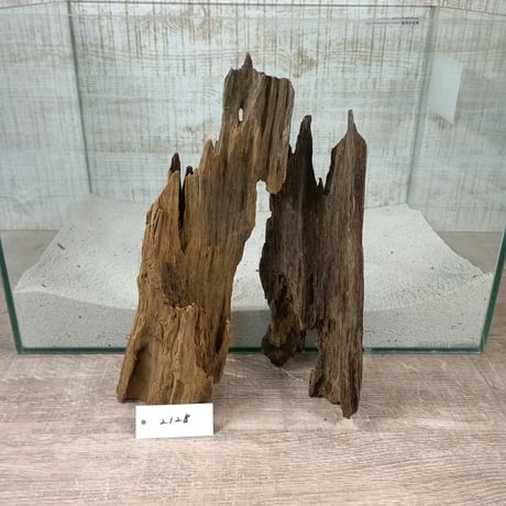 希少山型流木  　2本組　オンリーワン ★現物撮影  　No.2128(W約28㎝/約24㎝）
