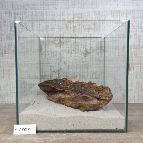 BIG気孔石　１点もの　No.1957（W約30cm)(30cm水槽）