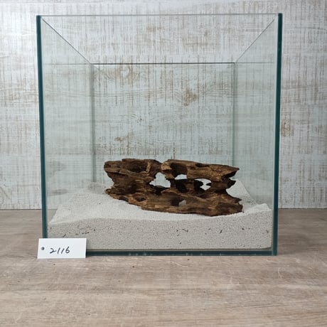 希少穴あき流木   Mサイズ　オンリーワン ★現物撮影  1点　No.2116(W約27㎝）
