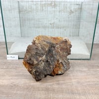 BIG木化石　NO.1960（W約22cm/H約15cm)(45cm水槽）