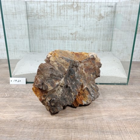 BIG木化石　NO.1960（W約22cm/H約15cm)(45cm水槽）