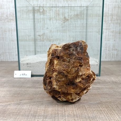 BIG木化石　NO.1992（W約13cm/H約14cm)(30cm水槽）