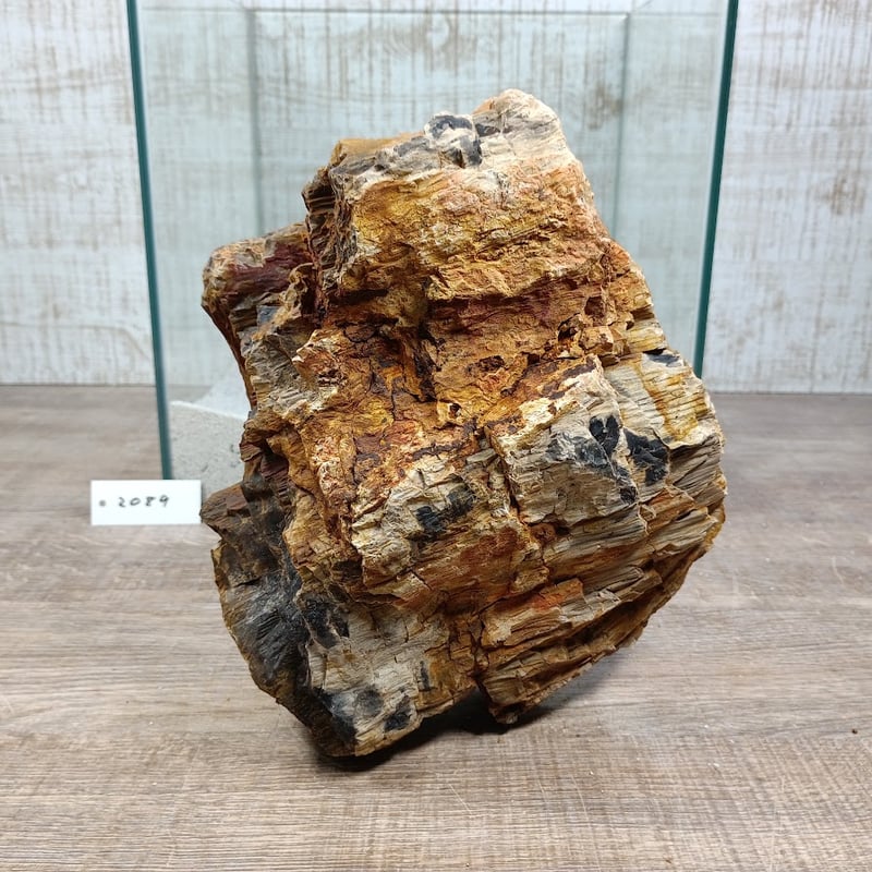 BIG木化石 NO.2089（W約21/約H18cm/約3.9kg)(30cm水槽） | 流木