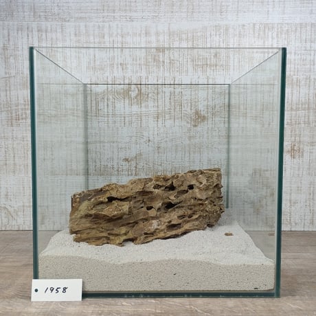 BIG気孔石　１点もの　No.1958（W約31cm)(30cm水槽）