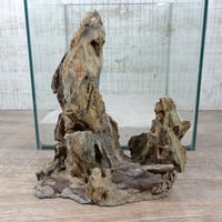 希少気孔石山（美型） 一点物の水槽オブジェ No. 1967  (30cm水槽)(W約20cm/H約25cm)