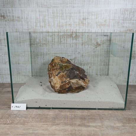 BIG木化石　NO.1961（W約21cm/H約15cm)(45cm水槽）