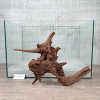 マングローブ系流木  Lサイズ　オンリーワン ★現物撮影  1点　No.2174(W約36㎝）