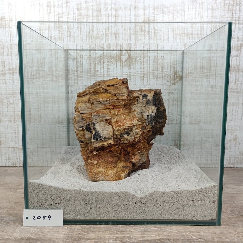 BIG木化石 NO.2089（W約21/約H18cm/約3.9kg)(30cm水槽） | 流木