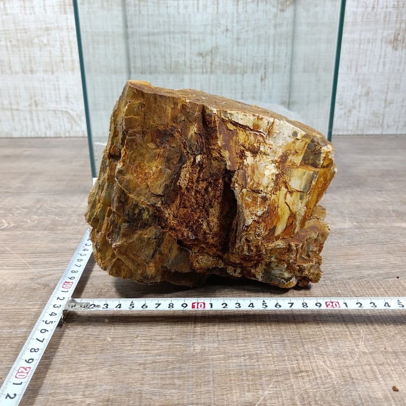 BIG木化石 NO.2087（W約18/約H16cm/約3.1kg)(30cm水槽） | 流木