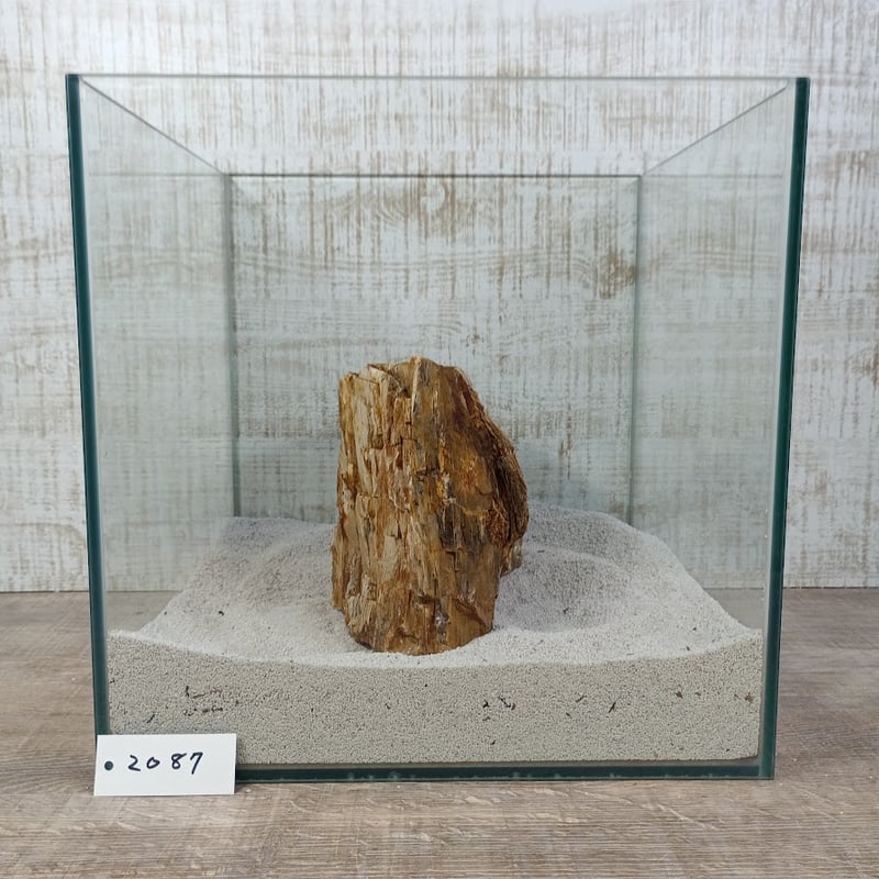 BIG木化石 NO.2087（W約18/約H16cm/約3.1kg)(30cm水槽） | 流木