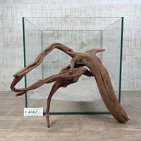 マングローブ系流木  Lサイズ　オンリーワン ★現物撮影  1点　No.2121(W約31㎝）