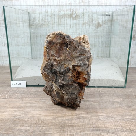 BIG木化石　NO.1960（W約22cm/H約15cm)(45cm水槽）