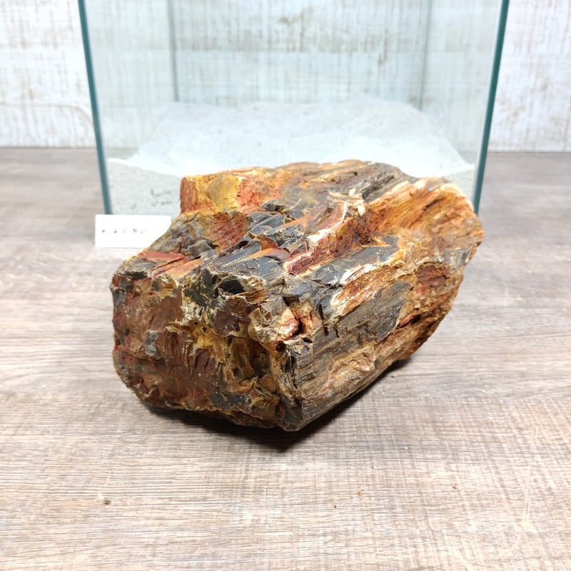 BIG木化石 NO.2090（W約16/約H19cm/約3.6kg)(30cm水槽） | 流木
