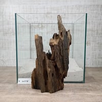 希少山型流木   Mサイズ　オンリーワン ★現物撮影  1点　No.2114(W約27㎝）