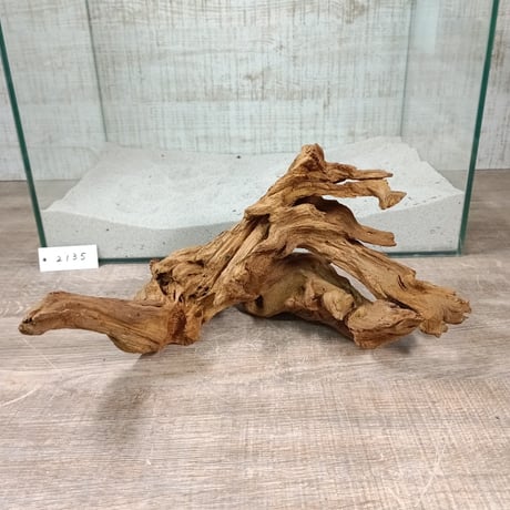 CATEGORY マングローブ系流木 | 流木専門店のアクアリバー