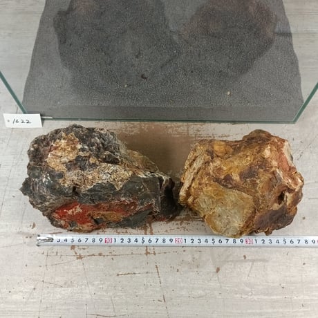 BIG木化石　2個セットNO.1622（W約21cm/W約17cm)(45cm水槽）