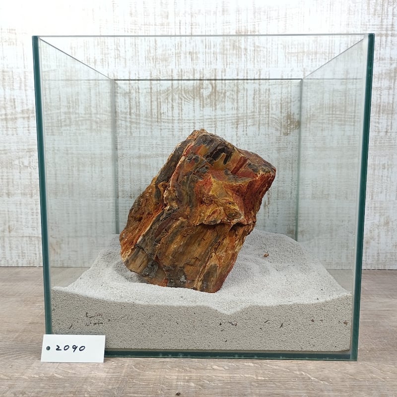 BIG木化石 NO.2090（W約16/約H19cm/約3.6kg)(30cm水槽） | 流木