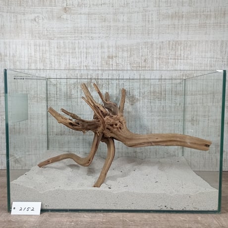 ナチュラルブランチ　Lサイズ　　NO.2152　(W約46㎝)　オンリーワン ★現物撮影 1点物