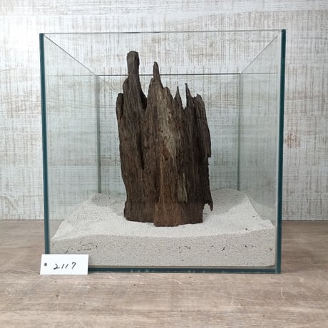 希少穴あき流木   Mサイズ　オンリーワン ★現物撮影  1点　No.2117(W約27㎝）