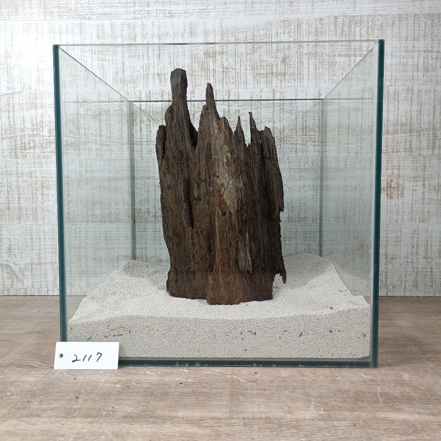 なんかかっこいい穴あき天然流木 置物 オブジェ 希少穴あき流木 Mサイズ オンリーワン ☆現物撮影 1点 No.2117(W約27