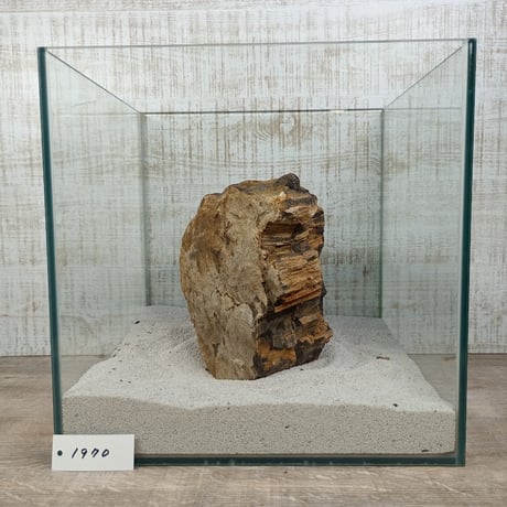 BIG木化石　NO.1970（W約16cm/H約9cm)(30cm水槽）