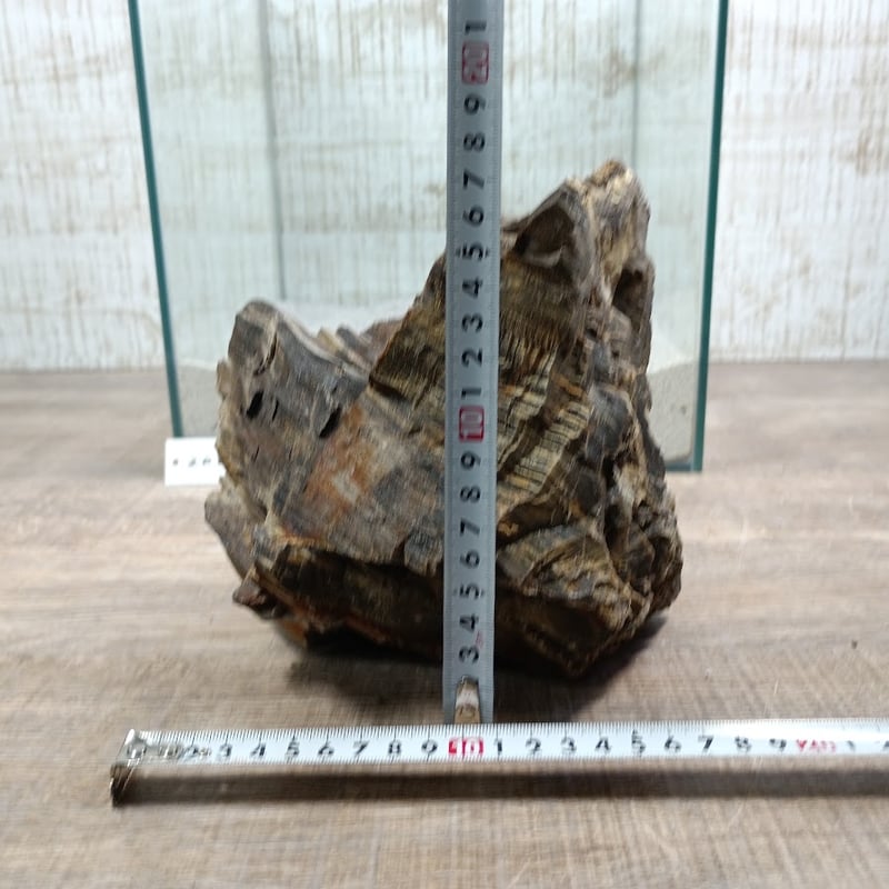 BIG木化石 NO.2088（W約19/約H17cm/約3kg)(30cm水槽） | 流木専門