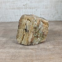 BIG木化石　NO.1991（W約13cm/H約13cm)(30cm水槽）