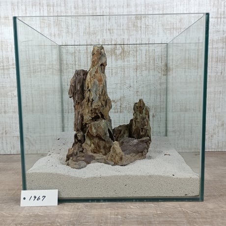 希少気孔石山（美型） 一点物の水槽オブジェ No. 1967  (30cm水槽)(W約20cm/H約25cm)